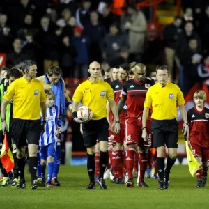 Bristol City vs Brighton and Hove Albion Print - Ashton Gate Stadium