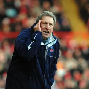 Bristol City vs. Crystal Palace: A Football Rivalry - 08-09 Season