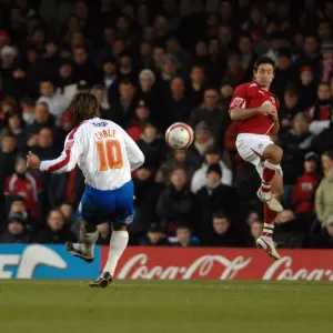 Bristol City vs. Crystal Palace: A Football Rivalry - Season 8-9