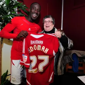 Bristol City vs. Crystal Palace: A Football Showdown - Season 11-12