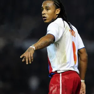 Bristol City vs Crystal Palace: Neil Danns in Action at Ashton Gate Stadium, December 2010 (Championship Football Match)