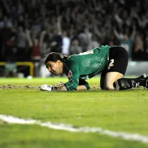 Bristol City vs. Crystal Palace: The Play-Off Showdown - Season 07-08