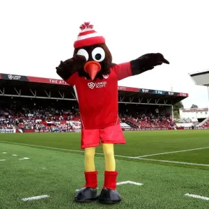 Bristol City vs Derby County: Robin Mascot at Ashton Gate Stadium