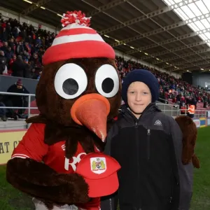 Bristol City vs Hull City Clash at Ashton Gate, 2015 Bristol City vs Hull City Clash at Ashton Gate, 2015