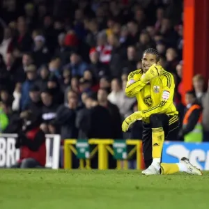 Bristol City vs. Leicester City: 2010-11 Season Showdown - A Football Rivalry Unfolds Bristol City vs. Leicester City: 2010-11 Season Showdown - A Football Rivalry Unfolds