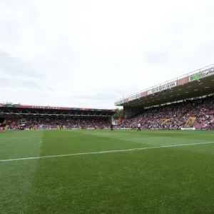 Bristol City vs MK Dons Clash in Sky Bet League One at Ashton Gate, September 2014 Bristol City vs MK Dons Clash in Sky Bet League One at Ashton Gate, September 2014