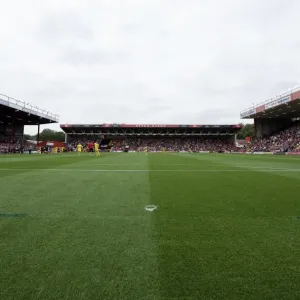 Bristol City vs MK Dons Clash in Sky Bet League One (September 2014) Bristol City vs MK Dons Clash in Sky Bet League One (September 2014)