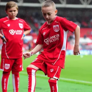 Bristol City vs Newcastle United: A Championship Showdown at Ashton Gate (2016)