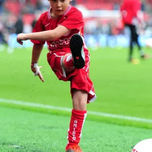 Bristol City vs Newcastle United: A Championship Showdown at Ashton Gate (2016)