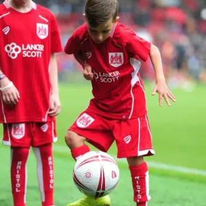 Bristol City vs Newcastle United Clash in Sky Bet Championship at Ashton Gate (2016)