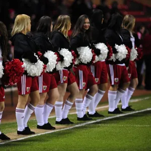 Season 10-11 Collection: Bristol City v Portsmouth