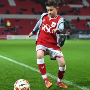 Bristol City vs Queens Park Rangers Clash at Ashton Gate Stadium, Sky Bet Championship (12/19/2015) Bristol City vs Queens Park Rangers Clash at Ashton Gate Stadium, Sky Bet Championship (12/19/2015)