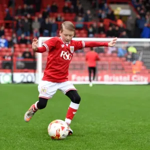 Bristol City vs Queens Park Rangers Clash at Ashton Gate Stadium, Sky Bet Championship (12/19/2015) Bristol City vs Queens Park Rangers Clash at Ashton Gate Stadium, Sky Bet Championship (12/19/2015)