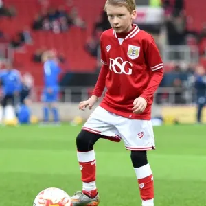 Bristol City vs Queens Park Rangers Clash at Ashton Gate Stadium, Sky Bet Championship (19/12/2015) Bristol City vs Queens Park Rangers Clash at Ashton Gate Stadium, Sky Bet Championship (19/12/2015)