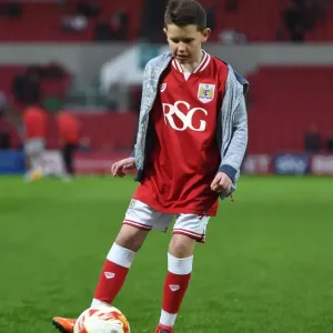 Bristol City vs. Queens Park Rangers: Sky Bet Championship Clash at Ashton Gate Stadium (December 19, 2015) Bristol City vs. Queens Park Rangers: Sky Bet Championship Clash at Ashton Gate Stadium (December 19, 2015)