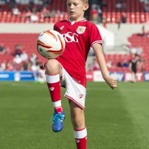 Bristol City vs Reading at Ashton Gate Stadium, 2015 - Sky Bet Championship Clash