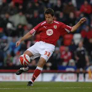 Bristol City vs. Reading: Clash of Football Powers (08-09 Season) Bristol City vs. Reading: Clash of Football Powers (08-09 Season)