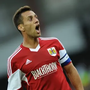 Bristol City vs Reading: A Thrilling July 2013 Encounter
