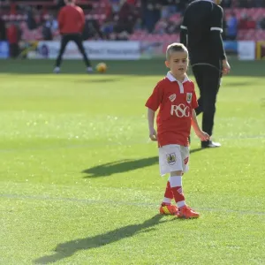 Bristol City vs Sheffield United Rivalry: A Football Clash at Ashton Gate - February 14, 2015