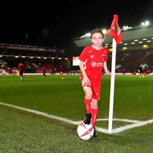 Bristol City vs Sheffield Wednesday Championship Clash at Ashton Gate - January 2017