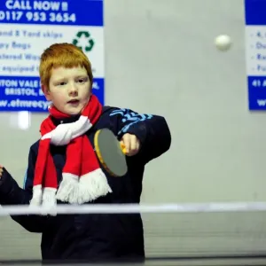 Bristol City vs Sheffield Wednesday Npower Championship Clash: An Unusual Ashton Gate Rivalry