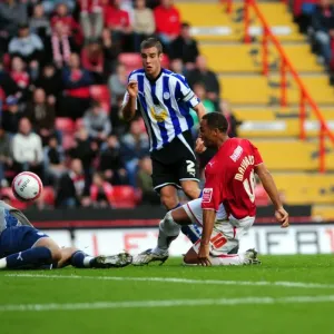 Bristol City vs Sheffield Wednesday: A Season to Remember (09-10) - Football Showdown
