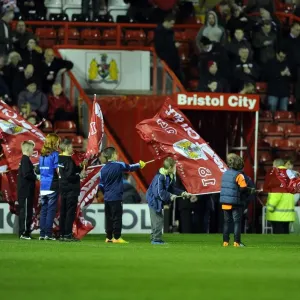 Bristol City vs Swindon Town: The Passionate Flag Bearers at Ashton Gate, Sky Bet League One (15/03/2014) Bristol City vs Swindon Town: The Passionate Flag Bearers at Ashton Gate, Sky Bet League One (15/03/2014)