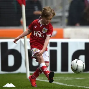 Bristol City vs Walsall: A Football Rivalry Unfolds at Ashton Gate, May 2015