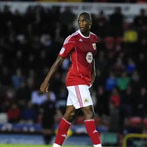Bristol City vs. Watford: A Football Showdown - Season 10-11