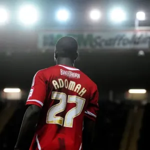 Bristol City vs. Watford Rivalry: A Football Battle at Ashton Gate - March 20, 2012 Bristol City vs. Watford Rivalry: A Football Battle at Ashton Gate - March 20, 2012