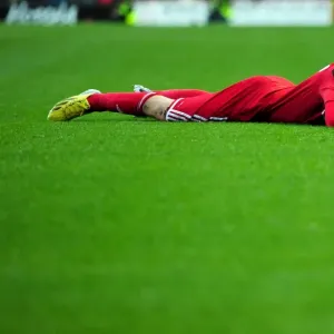 Bristol City vs Wolves: Joe Bryan in Action at Ashton Gate Stadium, Championship Football Match - 01/12/2012 Bristol City vs Wolves: Joe Bryan in Action at Ashton Gate Stadium, Championship Football Match - 01/12/2012