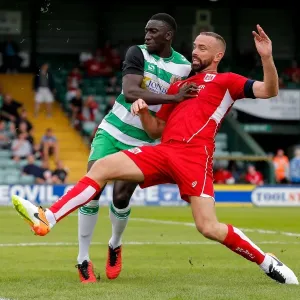 Aaron Wilbraham in Action Print - Bristol City vs Yeovil Town Aaron Wilbraham in Action Print - Bristol City vs Yeovil Town