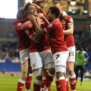 Bristol City Derrick Williams Print - 2015 Sky Bet Championship Match