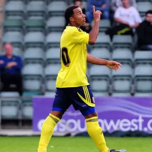 Bristol Citys Nicky Maynard celebrates Bristol Citys Nicky Maynard celebrates