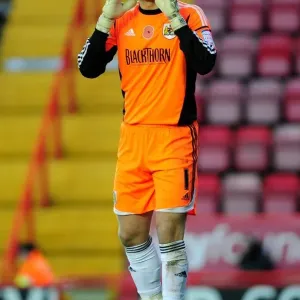 Bristol City's Tom Heaton in Print - Championship Match Action Bristol City's Tom Heaton in Print - Championship Match Action