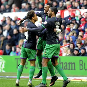 Print of Bristol City players celebrating a goal