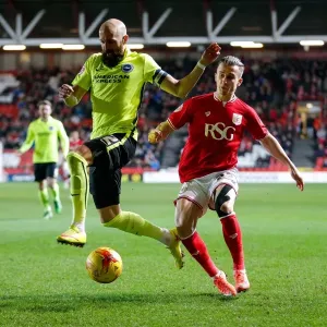 Bruno Saltor vs Joe Bryan Clash: Bristol City vs Brighton & Hove Albion, Sky Bet Championship, 2016 Bruno Saltor vs Joe Bryan Clash: Bristol City vs Brighton & Hove Albion, Sky Bet Championship, 2016