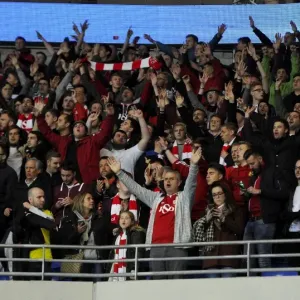 Cardiff City vs. Bristol City: A Sea of Passionate Fans at Cardiff City Stadium, 2015