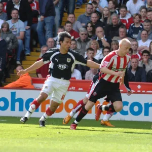 Carle Cotterill Tussle