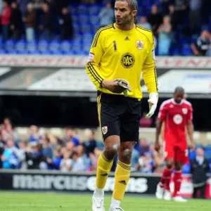 David James in Action Print, Championship Football Match