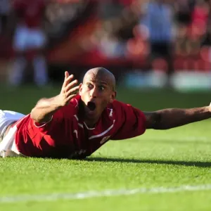 Chris Iwelumo in Action: Bristol City vs. West Bromwich Albion, Championship Game, Ashton Gate, 21/02/2010