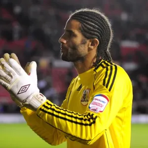 David James in Action: Bristol City vs Preston North End, Championship Football Match at Ashton Gate Stadium (06/11/2010) David James in Action: Bristol City vs Preston North End, Championship Football Match at Ashton Gate Stadium (06/11/2010)