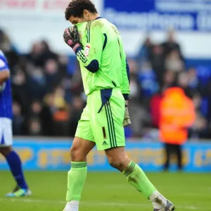 David James: Disappointed Bristol City Goalkeeper After Ipswich Town Defeat
