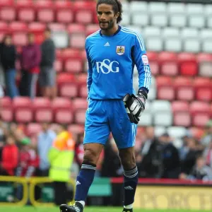 David James Heroic Performance: Bristol City vs. Brighton, Championship Match at Ashton Gate Stadium - September 10, 2011