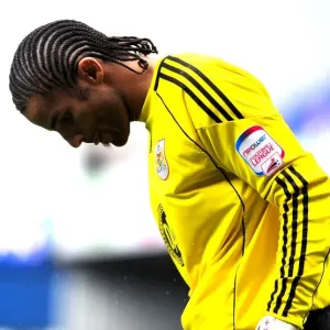 David James Print, Bristol City Goalkeeper Action Image
