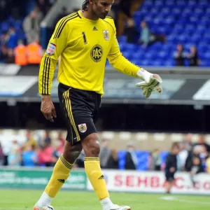 David James Print: Championship Save