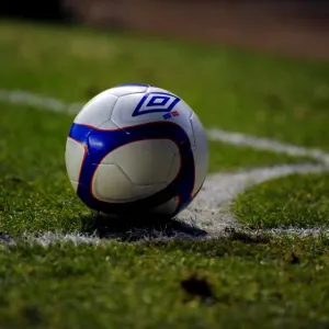 FA Cup Clash: Bristol City vs. Sheffield Wednesday (08.01.2011)