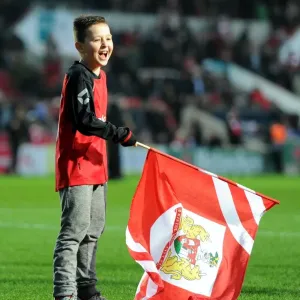 Flag Bearer at Ashton Gate: Sky Bet Championship Clash Between Bristol City and Queens Park Rangers, 2015 Flag Bearer at Ashton Gate: Sky Bet Championship Clash Between Bristol City and Queens Park Rangers, 2015