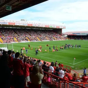 Football Rivalry: Bristol City vs Portsmouth - Season 11-12