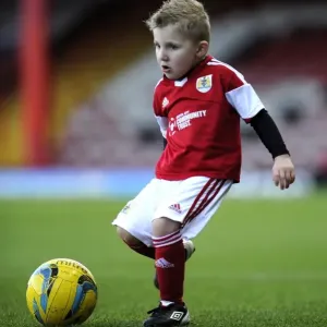 Bristol City vs Walsall Print at Ashton Gate (December 2013)